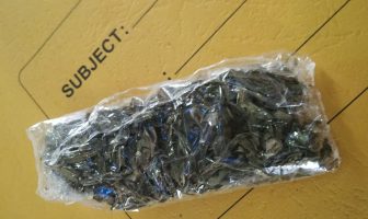 Petugas Cabrutan Paragalam Kembali Gagalkan Penyelundupan Narkotika