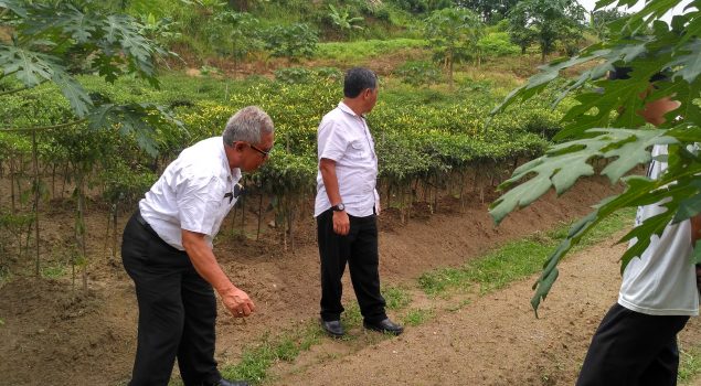 Dinas Pertanian Lebak Puji Pondok Asimilasi Rutan Rangkasbitung