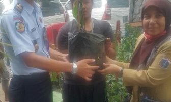 Rutan Jakpus Dapat Bantuan 100 Bibit Pohon Cabai