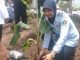 Pisang Cavendish Masuk Lapas Pasuruan