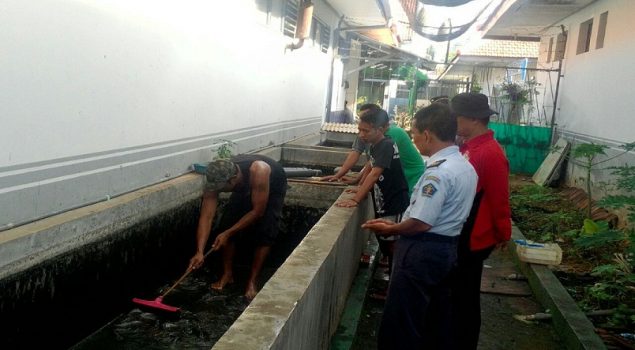 Lapas Tuban Budidaya Lele Sebagai Bekal WBP Setelah "Merdeka"