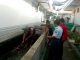 Lapas Tuban Budidaya Lele Sebagai Bekal WBP Setelah "Merdeka"