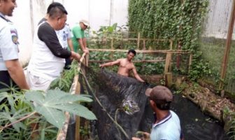 Lapas Banyuasin Panen Perdana Lele Jumbo