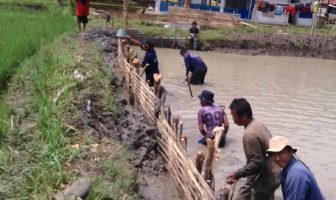 Optimalkan Potensi Lahan, Lapas Terbuka NK Budidayakan Ikan Mujair