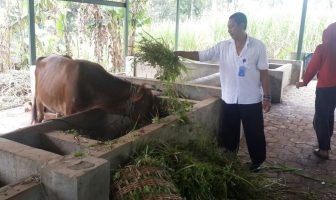 Punya 20 Hektar Lahan Produktif, Lapas Malang Gagas "Lapas Terbuka Hijau"