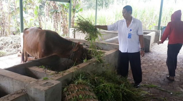 Punya 20 Hektar Lahan Produktif, Lapas Malang Gagas "Lapas Terbuka Hijau"