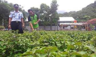 Rutan Trenggalek Akan Manfaatkan Lahan Kosong Untuk Pertanian