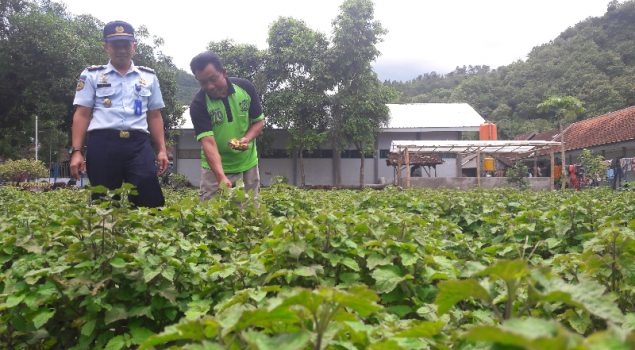 Rutan Trenggalek Akan Manfaatkan Lahan Kosong Untuk Pertanian