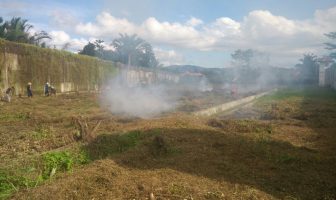 Bongkar Lahan, Lapas Piru Perluas Areal Pertanian