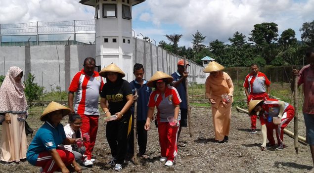 Lapas Piru Garap Penanaman Palawija Tahap II