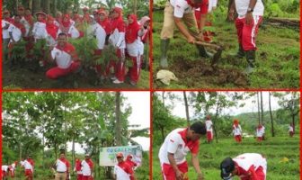Petugas Rutan Wonogiri Tanam 2 Ribu Bibit Pohon Sengon