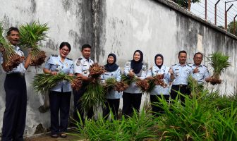 Lapas Serang Kembali Memanen Jahe Merah