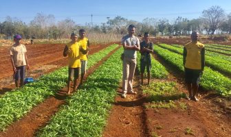 Musim Kemarau, Kebun Lapas Kupang Tetap Hijau