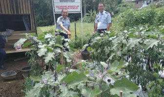 Rutan Padang Panjang Ubah Lahan Kosong Jadi Perkebunan Produktif