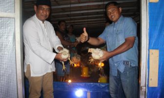 Usai Lele, Lapas Pekanbaru Panen Ayam Potong