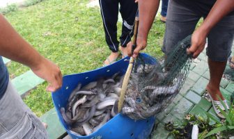 Lapas Pekanbaru Panen 11 Ribu Lele dengan Sistem Longyam