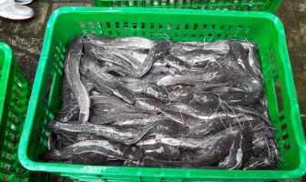 Lottemart Minta Lapas Narkotika Sungguminasa Tambah Pasokan Lele