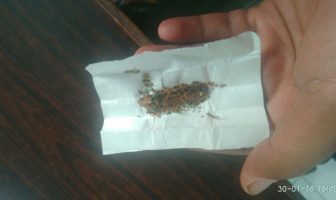 Petugas Rutan Ambon Gagalkan Penyelundupan Narkoba