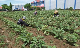 Dapat Remisi Nyepi, 3 Napi Hindu Lapas Gunung Sugih Semakin Termotivasi