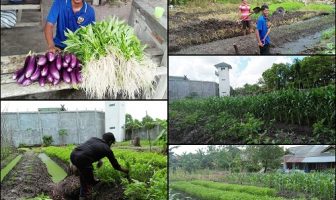 Lahan Kosong Rutan Palangka Raya Kini Jadi Lahan Produktif