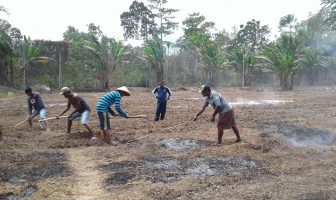 Lapas Piru Kelola Semak Belukar Jadi Lahan Pertanian