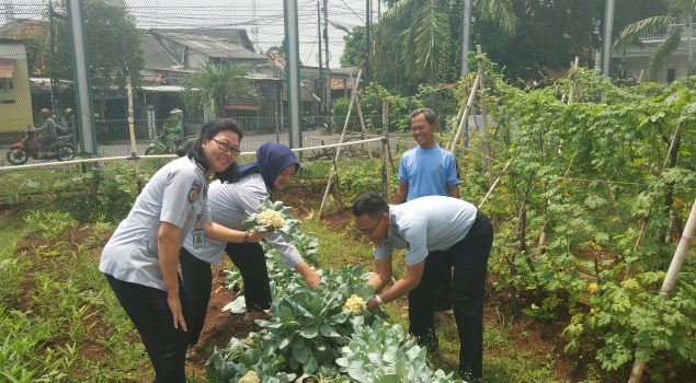 WBP Lapas Cipinang Panen Aneka Buah & Sayuran