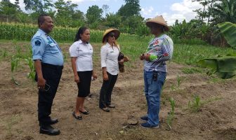 Ukur Tingkat Penggunaan Buku Perpustakaan, Lapas Piru Kedatangan Kasih Dinarpus