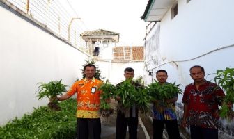 Usai Panen Sawi, Rutan Wates Juga Panen Kangkung
