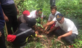 Pasukan Merah Putih Lapas Kerobokan Tanam 1.000 Pohon Mahoni