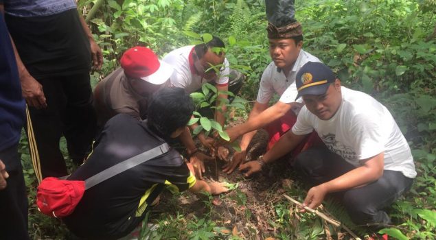 Pasukan Merah Putih Lapas Kerobokan Tanam 1.000 Pohon Mahoni