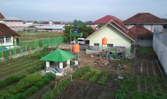 Budidaya Pertanian Rutan Lampung Usung Konsep Go Green
