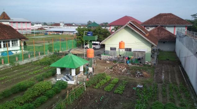 Budidaya Pertanian Rutan Lampung Usung Konsep Go Green