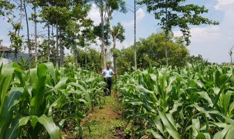 Rutan Wonogiri Ubah Lahan Tidur Jadi Produktif