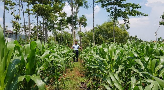 Rutan Wonogiri Ubah Lahan Tidur Jadi Produktif