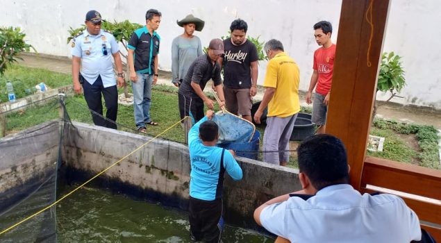 WBP Lapas Pekanbaru Panen 630 Kg Ikan Lele