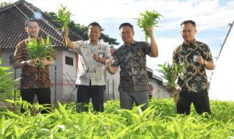 Tanami Lahan Branggang, Rutan Kotabumi Panen Sayuran Segar