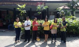 Lapas Kerobokan Sumbang 400 Pohon Mahoni