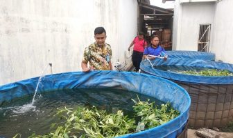 Rutan Pemalang Budidayakan Ikan Nilai dengan Sistem Bioflok