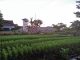 Lahan Kosong Rutan Palangka Raya Kini Berubah Hijau & Produktif