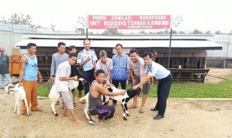 Pondok Asimilasi Budidaya Ternak Lapas Gunung Sugih Dapat 11 Ekor Kambing