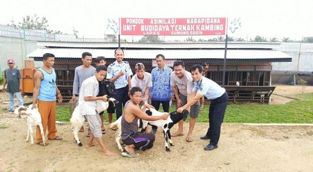 Pondok Asimilasi Budidaya Ternak Lapas Gunung Sugih Dapat 11 Ekor Kambing