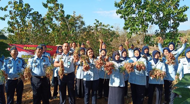 Rutan Wonogiri Sukses Memanen Jagung & Bawang Merah