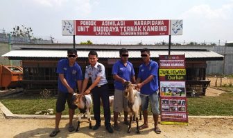 Butuh Hewan Qurban? Ayo Mampir Ke Pondok Asimilasi Lapas Gunung Sugih