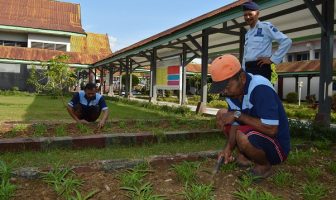 Lahan Terbatas Tak Halangi Kegiatan Pertanian Lapas Watampone