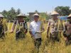 Lapas Sanana Panen Padi, Bupati Kab. Kepulauan Sula Apresiasi