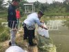 Lapas Sarolangun Dapat Bantuan 600 Kg Pakan & 1.000 Benih Ikan