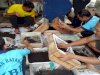 Rutan Batang Panen 111 Kg Hasil Budidaya Cacing