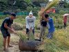 Panen Padi, Wujud Keberhasilan Pembinaan di Lapas Rangkasbitung