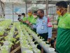 Kalapas Pantau Perkembangan Green House Lapas Saumlaki