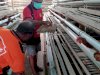 WBP Lapas Piru Panen Telur Ayam